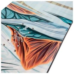 Jones Pack Snowboard Twin Sister + Fij -Glisshop 100d56c755e672c3c1f94aa6b7ed057818838d10 H24JONEBOA386723 904