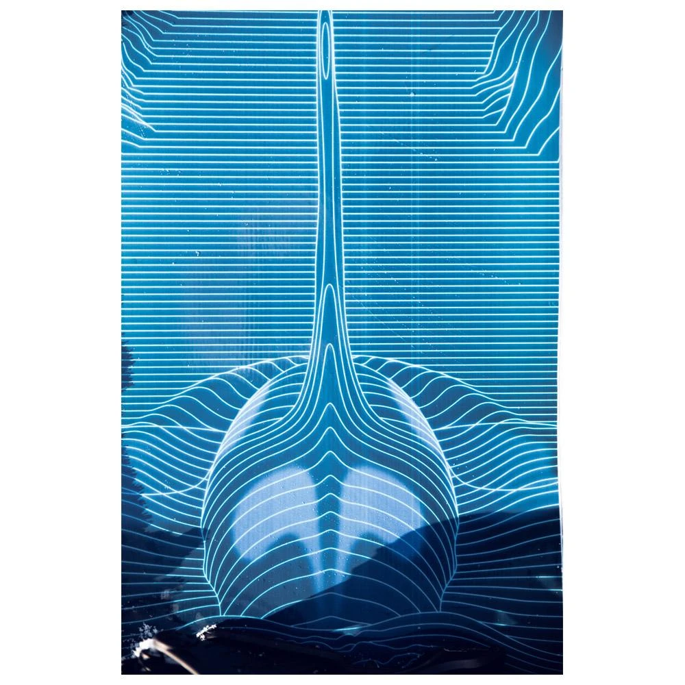 Tabla De Snowboard Lib Tech T.Rice Golden Orca 9 Tabla De Snowboard Lib Tech T.Rice Golden Orca - Imagen 7