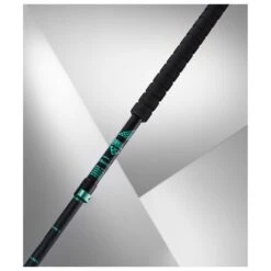 Bastones Black Crows Duos Freebird Black Mint 14 Bastones Black Crows Duos Freebird Black Mint -Glisshop 175c68fc1c81a8dbe9461c54f07897109b62d721 H24BLACBAT405373 BLAC0806934 901