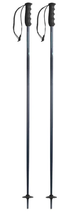 Bastones Nordica Alpine Ti Woman