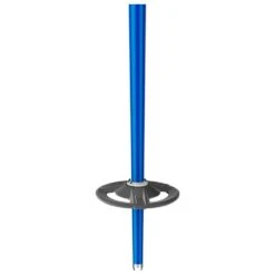 Bastones Scott Riot Royal Blue -Glisshop 383a04c134c57fb0785647b938e752fb03d2234d H24SCOTBAT403056 902