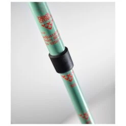 Bastones Black Crows Duos Junius Turquoise 10 Bastones Black Crows Duos Junius Turquoise -Glisshop 424cbd87eecbfc24cb38694e1ea351be5a81b8a1 H24BLACBAT405391 BLAC0807089 902