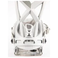 Lib Tech Pack Snowboard Skunk Ape Ii + Fij