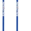 Bastones Salomon S/race Jr Blue