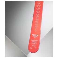 Esquís Black Crows Camox Birdie Jr 13 Esquís Black Crows Camox Birdie Jr -Glisshop 603847910997417fb3c90fa007050e9fe55b1820 H24BLACSKI405515 903