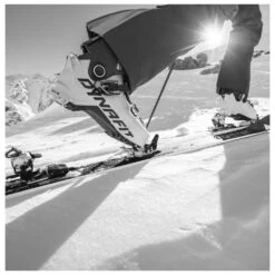 Botas De Esquí De Travesía Dynafit Radical Pro Rock Khaki Fluo Orange -Glisshop 8c672d8553bbd6d3e0fe20010ffffb73b6337d53 H24DYNACHA405561 904